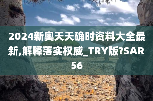 2024新奥天天确时资料大全最新,解释落实权威_TRY版?SAR56