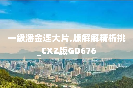 一级潘金连大片,版解解精析挑_CXZ版GD676