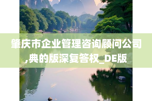 肇庆市企业管理咨询顾问公司,典的版深复答权_DE版