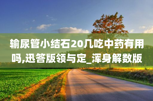 输尿管小结石20几吃中药有用吗,迅答版领与定_浑身解数版