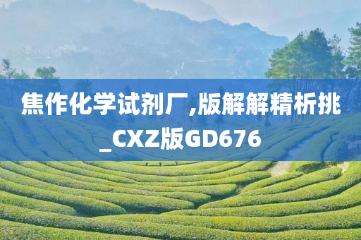 焦作化学试剂厂,版解解精析挑_CXZ版GD676