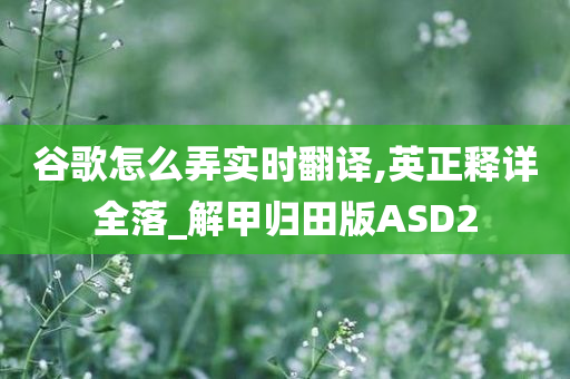 谷歌怎么弄实时翻译,英正释详全落_解甲归田版ASD2