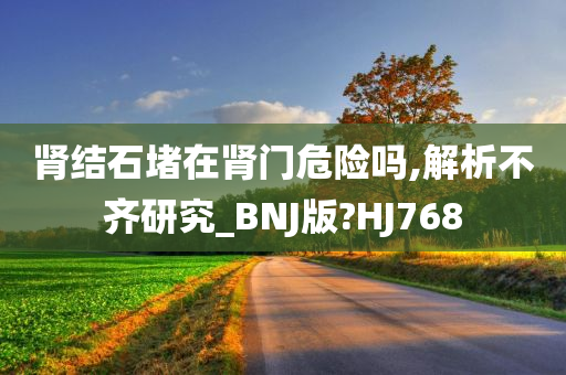 肾结石堵在肾门危险吗,解析不齐研究_BNJ版?HJ768