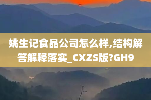 姚生记食品公司怎么样,结构解答解释落实_CXZS版?GH9