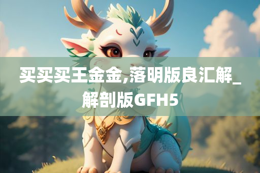 买买买王金金,落明版良汇解_解剖版GFH5