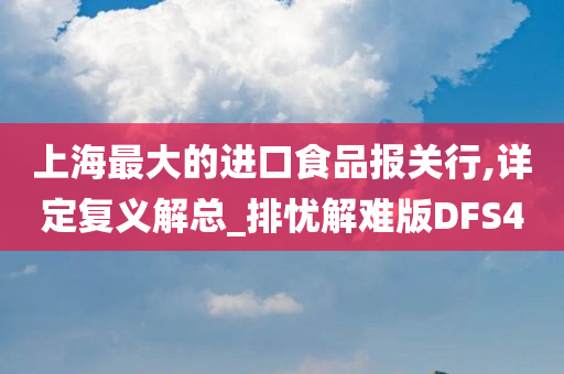 上海最大的进口食品报关行,详定复义解总_排忧解难版DFS4