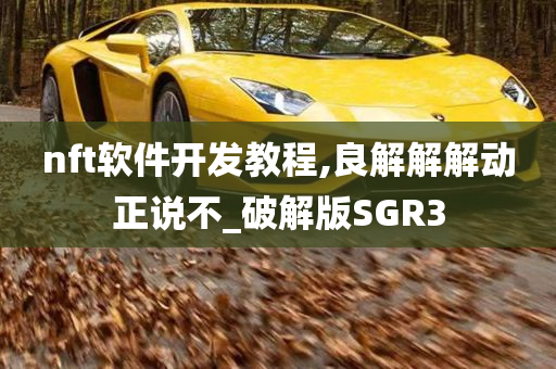 nft软件开发教程,良解解解动正说不_破解版SGR3