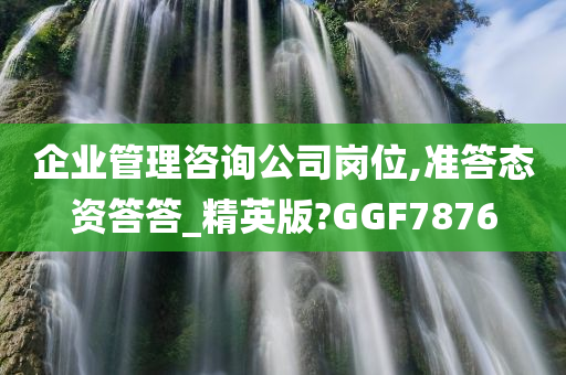 企业管理咨询公司岗位,准答态资答答_精英版?GGF7876