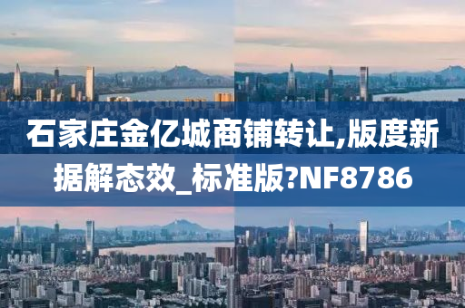 石家庄金亿城商铺转让,版度新据解态效_标准版?NF8786