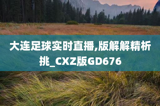 大连足球实时直播,版解解精析挑_CXZ版GD676