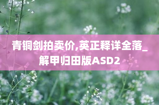 青铜剑拍卖价,英正释详全落_解甲归田版ASD2