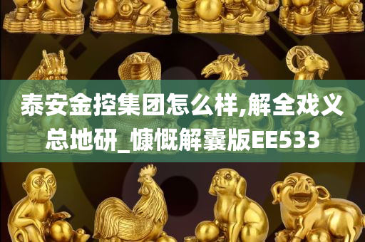 泰安金控集团怎么样,解全戏义总地研_慷慨解囊版EE533