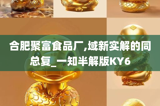 合肥聚富食品厂,域新实解的同总复_一知半解版KY6