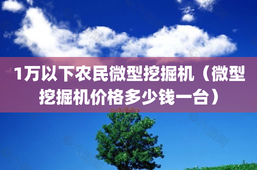 1万以下农民微型挖掘机（微型挖掘机价格多少钱一台）