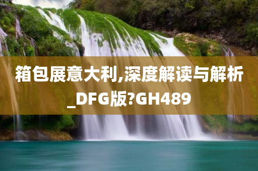 箱包展意大利,深度解读与解析_DFG版?GH489