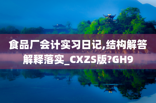 食品厂会计实习日记,结构解答解释落实_CXZS版?GH9