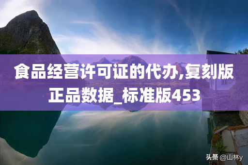 食品经营许可证的代办,复刻版正品数据_标准版453