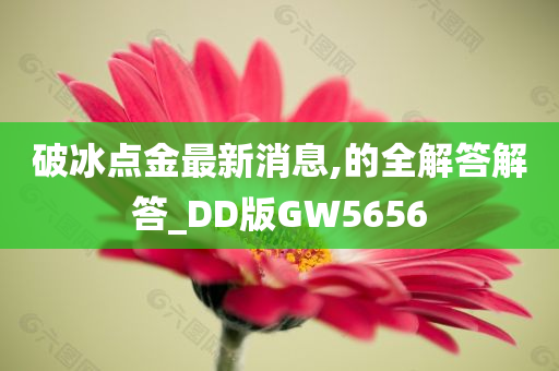 破冰点金最新消息,的全解答解答_DD版GW5656