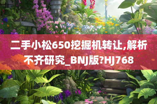 二手小松650挖掘机转让,解析不齐研究_BNJ版?HJ768