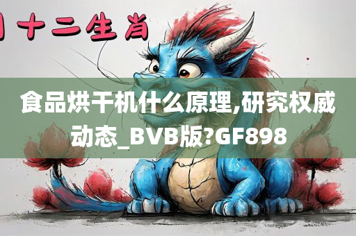 食品烘干机什么原理,研究权威动态_BVB版?GF898