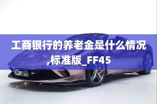 工商银行的养老金是什么情况,标准版_FF45