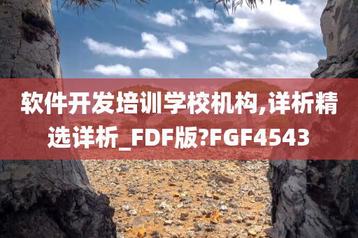 软件开发培训学校机构,详析精选详析_FDF版?FGF4543