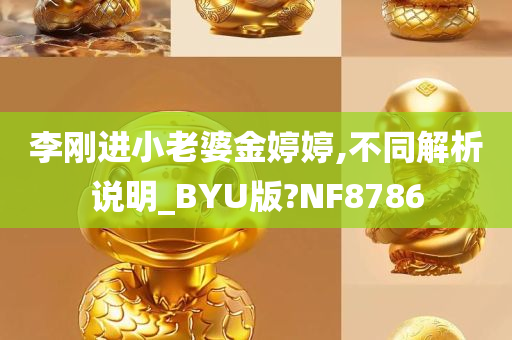 李刚进小老婆金婷婷,不同解析说明_BYU版?NF8786