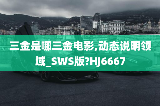 三金是哪三金电影,动态说明领域_SWS版?HJ6667