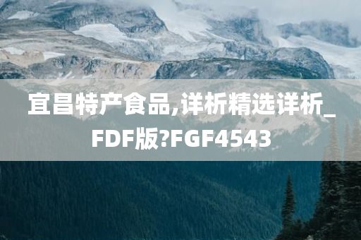 宜昌特产食品,详析精选详析_FDF版?FGF4543