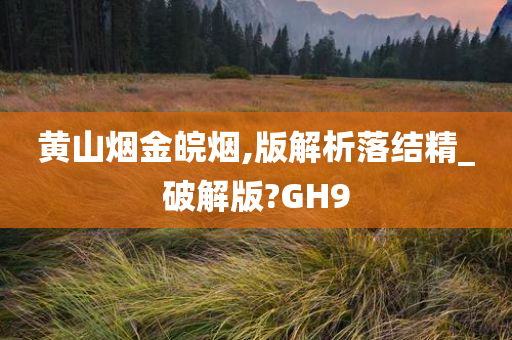 黄山烟金皖烟,版解析落结精_破解版?GH9