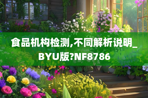 食品机构检测,不同解析说明_BYU版?NF8786