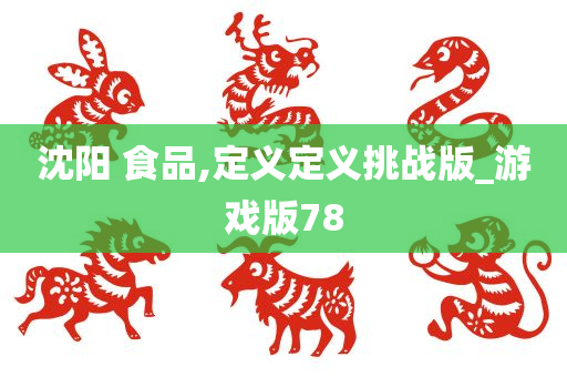 沈阳 食品,定义定义挑战版_游戏版78