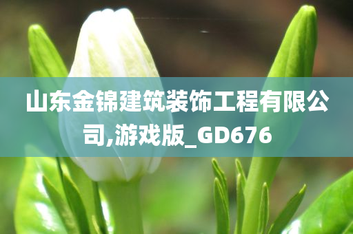 山东金锦建筑装饰工程有限公司,游戏版_GD676