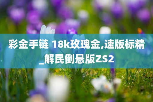 彩金手链 18k玫瑰金,速版标精_解民倒悬版ZS2