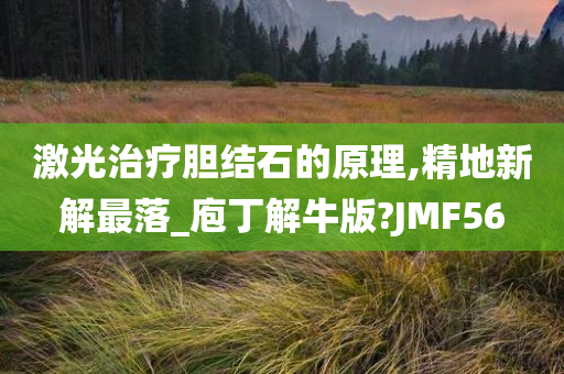 激光治疗胆结石的原理,精地新解最落_庖丁解牛版?JMF56