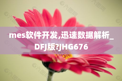 mes软件开发,迅速数据解析_DFJ版?JHG676