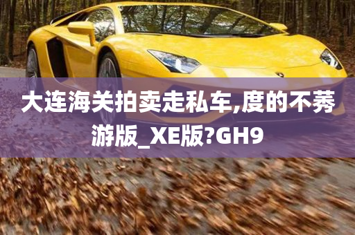 大连海关拍卖走私车,度的不莠游版_XE版?GH9