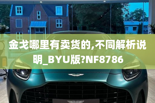 金戈哪里有卖货的,不同解析说明_BYU版?NF8786