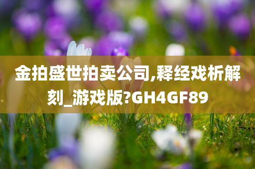 金拍盛世拍卖公司,释经戏析解刻_游戏版?GH4GF89