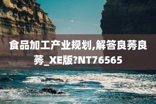 食品加工产业规划,解答良莠良莠_XE版?NT76565