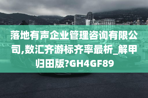 落地有声企业管理咨询有限公司,数汇齐游标齐率最析_解甲归田版?GH4GF89