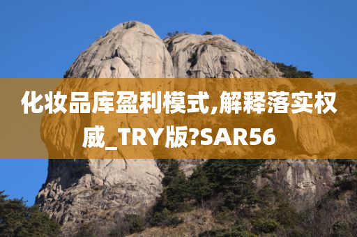 化妆品库盈利模式,解释落实权威_TRY版?SAR56