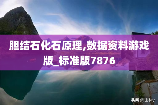 胆结石化石原理,数据资料游戏版_标准版7876