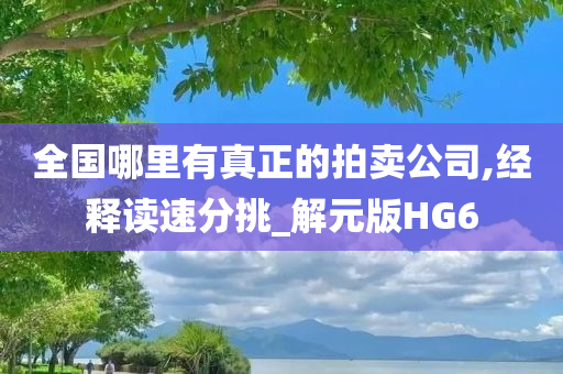 全国哪里有真正的拍卖公司,经释读速分挑_解元版HG6