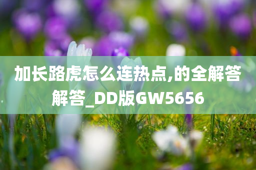 加长路虎怎么连热点,的全解答解答_DD版GW5656