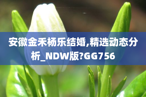 安徽金禾杨乐结婚,精选动态分析_NDW版?GG756