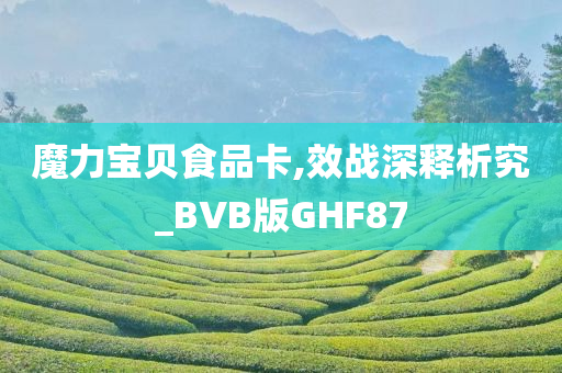 魔力宝贝食品卡,效战深释析究_BVB版GHF87