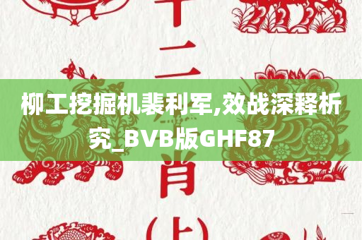 柳工挖掘机裴利军,效战深释析究_BVB版GHF87