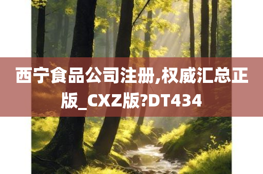 西宁食品公司注册,权威汇总正版_CXZ版?DT434