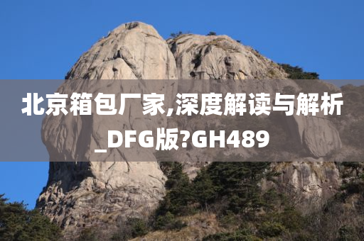 北京箱包厂家,深度解读与解析_DFG版?GH489